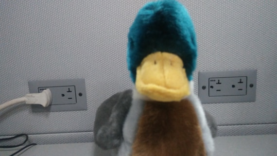 Ty Beanie Buddies Jake the Mallard