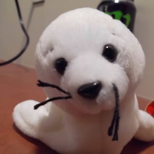 Strickmütze Babies Seamore der weißen Robbe