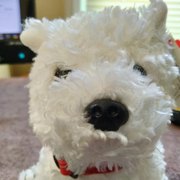 Ty Beanie Babies Dundee The Soft, Plushy White Dog With Red Collar, MWMTs, Ships Free To U.S. Residents, World-Wide Shipping, Ships TODAY!