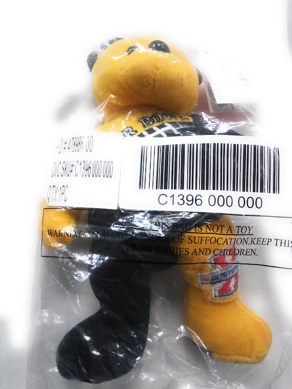 NFL Football Superbowl Bear