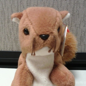 May include: A plush squirrel toy with brown fur, white belly, and a fluffy tail. The toy has black eyes, a long snout, and a red tag attached to its ear. The squirrel is a stuffed animal.