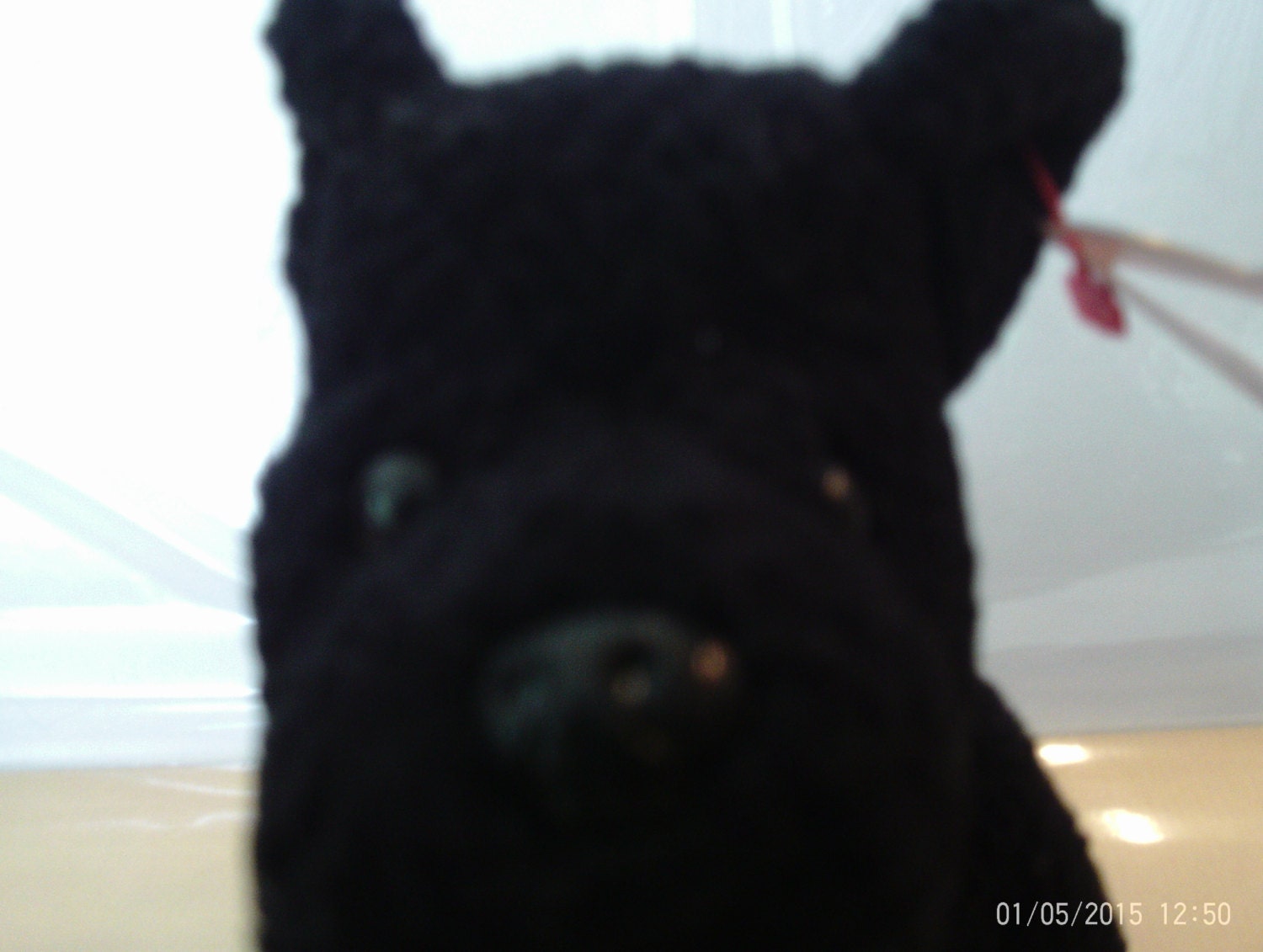 scottie beanie baby errors