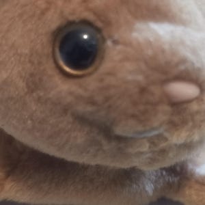 May include: Close-up of a plush toy bunny's face. The bunny has large, dark eyes with golden rims, a small pink nose, and soft, brown fur. The focus is on the bunny's face, highlighting its gentle expression.