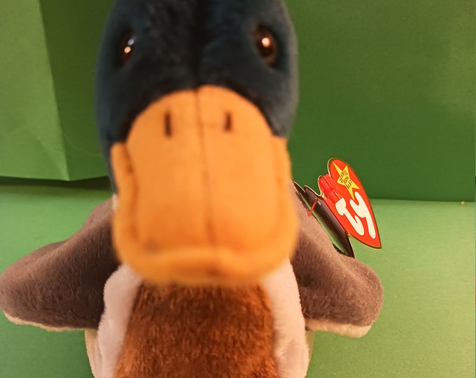 Ty Beanie Babies Jake the Mallard Duck Etsy