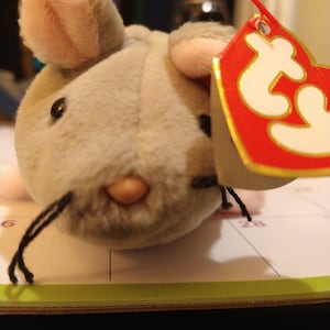 Ty Beanie Babies TRAP THE Grey Mouse Estremamente raro, etichette nuove, fornite in custodia protettiva in acrilico