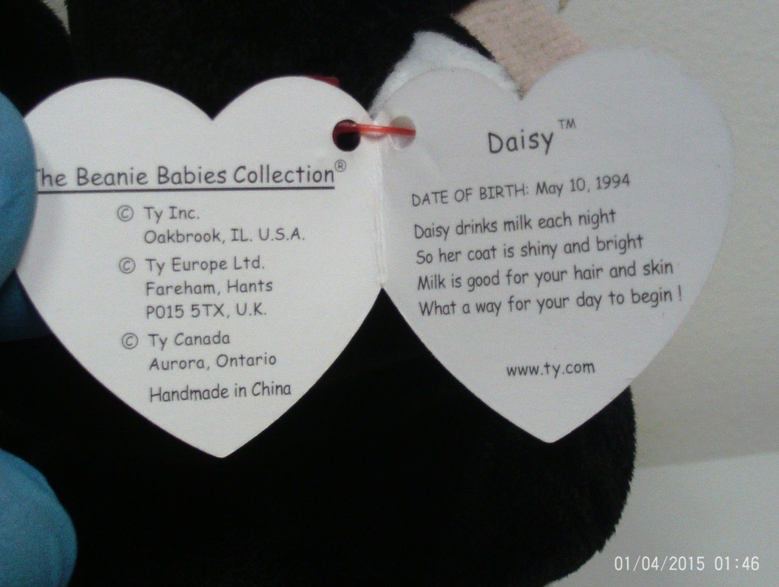 TY Beanie Baby Daisy the Black and White Cow Made With PVC Etsy