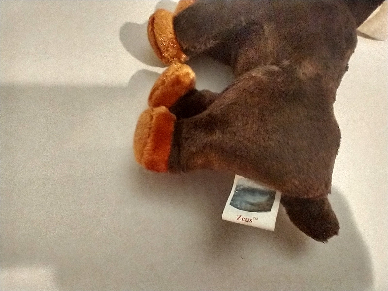 Ty Beanie Babies Zeus the Brown Moose Etsy