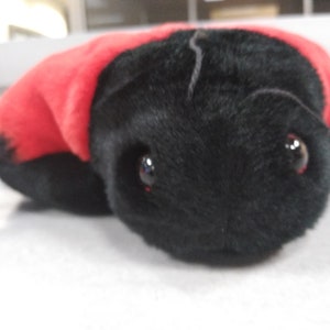 TY Beanie Buddies Lucky the Ladybug (from the beanie babies/BUDDIES collection)