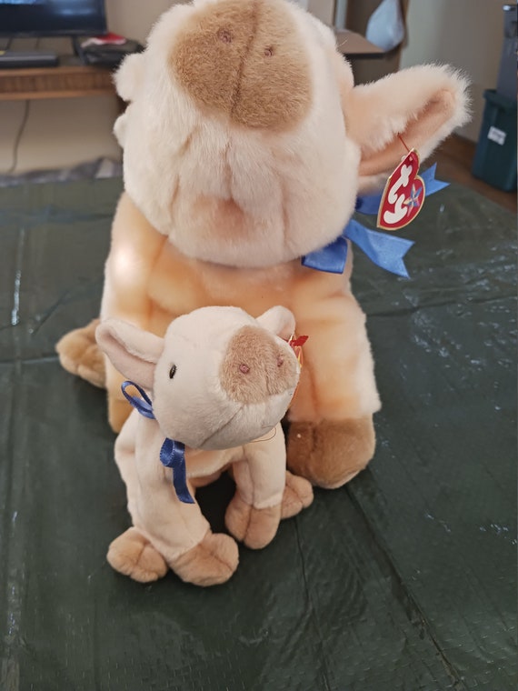 Ty Beanie Babies And Buddies Knuckles The Pig