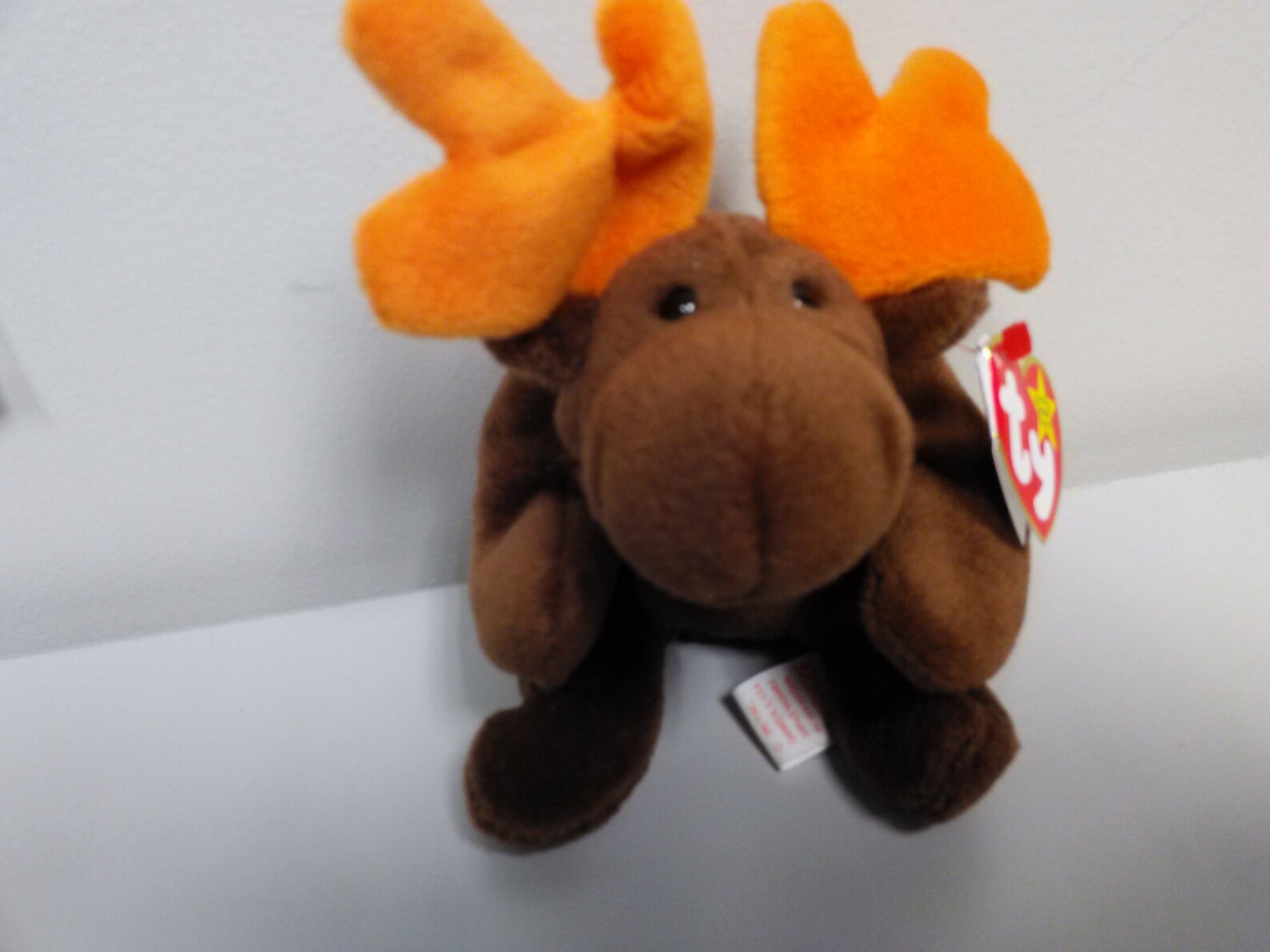 Ty Beanie Babies Chocolate The Moose No Stamp In Tush Tag | Etsy