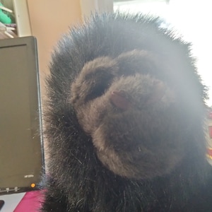 Ty Beanie Classics George The Black Ape über einen Fuß groß!