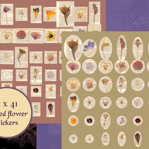 Téléchargement d’autocollants de fleurs pressées, fleurs pressées numériques, herbier, paquet éphémère de papier de rebut vintage, cottagecore, papier en détresse, PNG