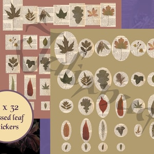 Téléchargement d’autocollants de feuilles pressées, fleurs pressées numériquement, herbier, paquet éphémère de papier de rebut vintage, cottagecore, papier en détresse, PNG
