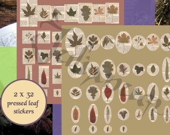 Pressed leaves stickers download, digital pressed flowers, herbarium, vintage scrap paper ephemera pack, cottagecore, distressed paper, PNG