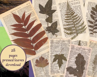 Pressed leaves download, digital pressed flowers pages, herbarium, digital paper, paper ephemera pack, cottagecore, distressed paper, PNG