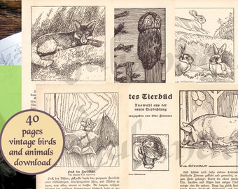 Vintage animal print download, digital antique book birds, zoological art, paper ephemera pack, cottagecore, set of wildlife illustrations