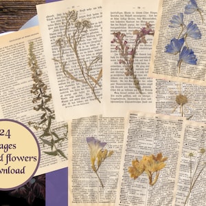 Téléchargement de fleurs pressées, pages de fleurs pressées numériques, herbier, papier numérique, paquet éphémère en papier, cottagecore, papier en détresse, PNG