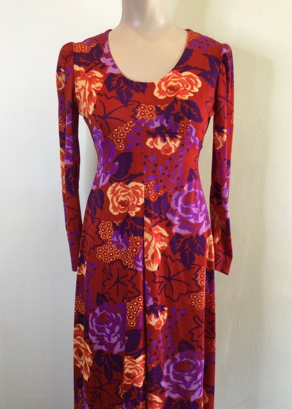 1970s long Sleeve Maxi Dress by Allegro Tag Size 9 - image 1