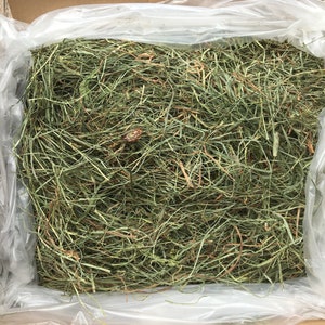 2nd Cutting Premium Hay! Fay's Pet Hay Timothy/Orchard Mixed Grass HAY for Rabbits, Guinea Pigs, Chinchillas, Gerbils, Tortoise!!