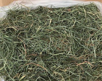 3rd Cut Hay "Green Supreme"! - Fay's Pet Hay Timothy/Orchard Mixed Grass HAY. Rabbit hay, Guinea Pig hay, Chinchillas, Gerbils, Tortoise!!