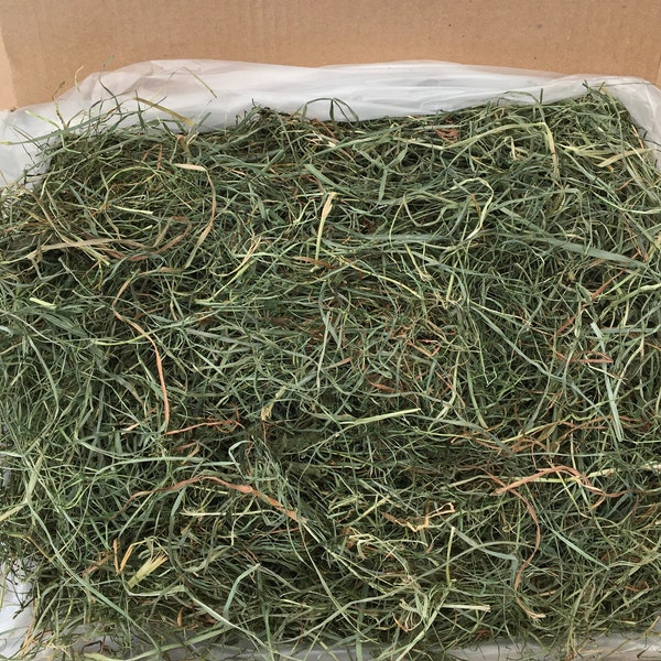 3rd Cut Hay "Green Supreme"! - Fay's Pet Hay Timothy/Orchard Mixed Grass HAY. Rabbit hay, Guinea Pig hay, Chinchillas, Gerbils, Tortoise!!