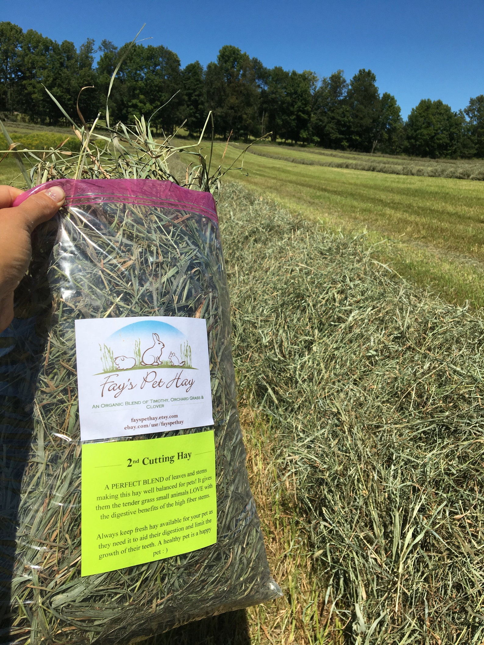 16 oz Premium 2nd Cut Hay Timothy/Orchard Grass/Clover HAY Etsy