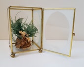 Vintage Brass and Glass Display Box, Terrarium Container, Curio