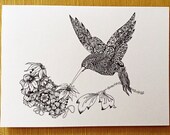 Hummingbird Blank Greeting Card