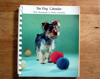 1959 Walter Chandoha Dog Photo Datebook in box
