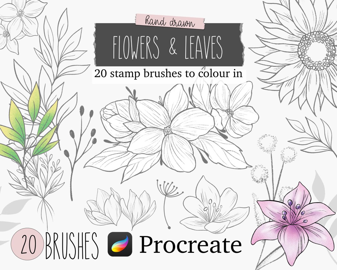 Procreate Brushes Set of 20 Hand Drawn Flowers and Leaves Stamp Brushes ...