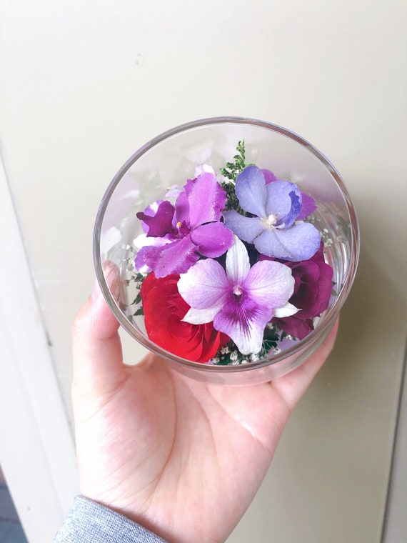 Regalos~Detalles-Flores-Globos on Instagram: ¡Orquídeas Naturales  Preservadas! 😍🌈 ¿Quién no querría flores que duren años? 🥰✨ Nuestra orquídea  natural está preservada a través de un proceso químico. ¡Su frescura puede  perdurar de 1