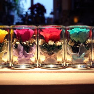Pequeñas rosas eternas, verdaderas eternas, regalo de San Valentín, regalo romántico de flores, hermoso aniversario de bodas, regalo para mamá, día de San Valentín 2023