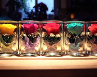 Eternity Roses, Roses, REAL roses, Valentines Gifts, Gifts for her, Gifts for him, Anniversary, Wedding, Couple Gifts, Immortal Rose, xmas