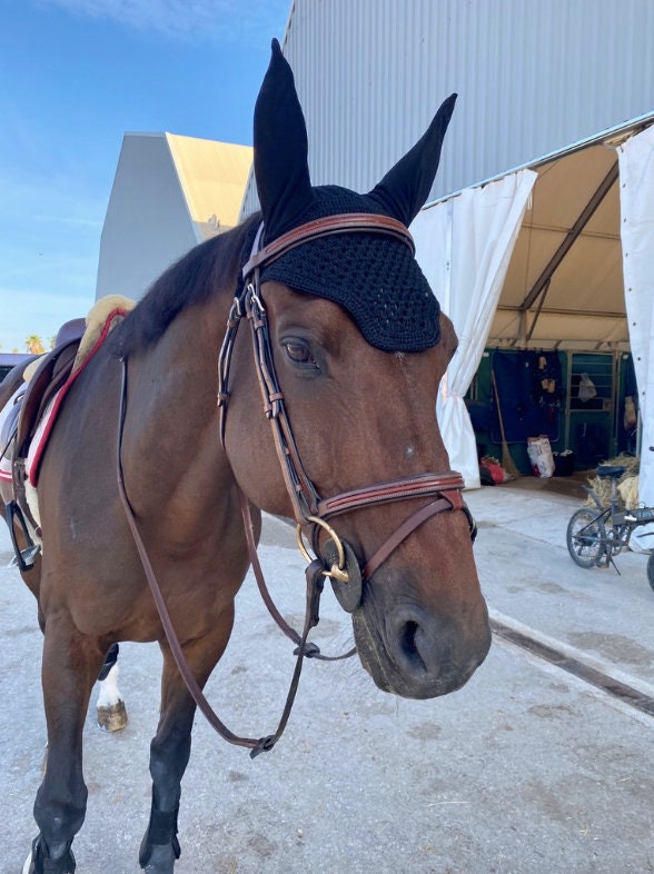 Bonnet Court Simple - Nouveau Modèle