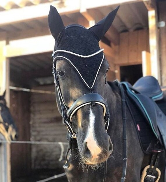 Bonnet en Pointe 1 Rangée de Strass