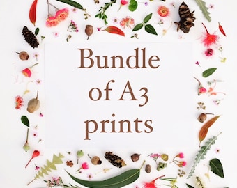 A3 print bundle- choose your bundle of A3 gumdots art prints