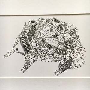May include: A black and white line drawing of an echidna, a spiny anteater native to Australia and New Guinea. The echidna is depicted with a long snout and a body covered in intricate patterns of leaves, flowers, and other botanical elements.