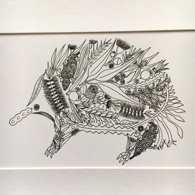 May include: A black and white line drawing of an echidna, a spiny anteater native to Australia and New Guinea. The echidna is depicted with a long snout and a body covered in intricate patterns of leaves, flowers, and other botanical elements.