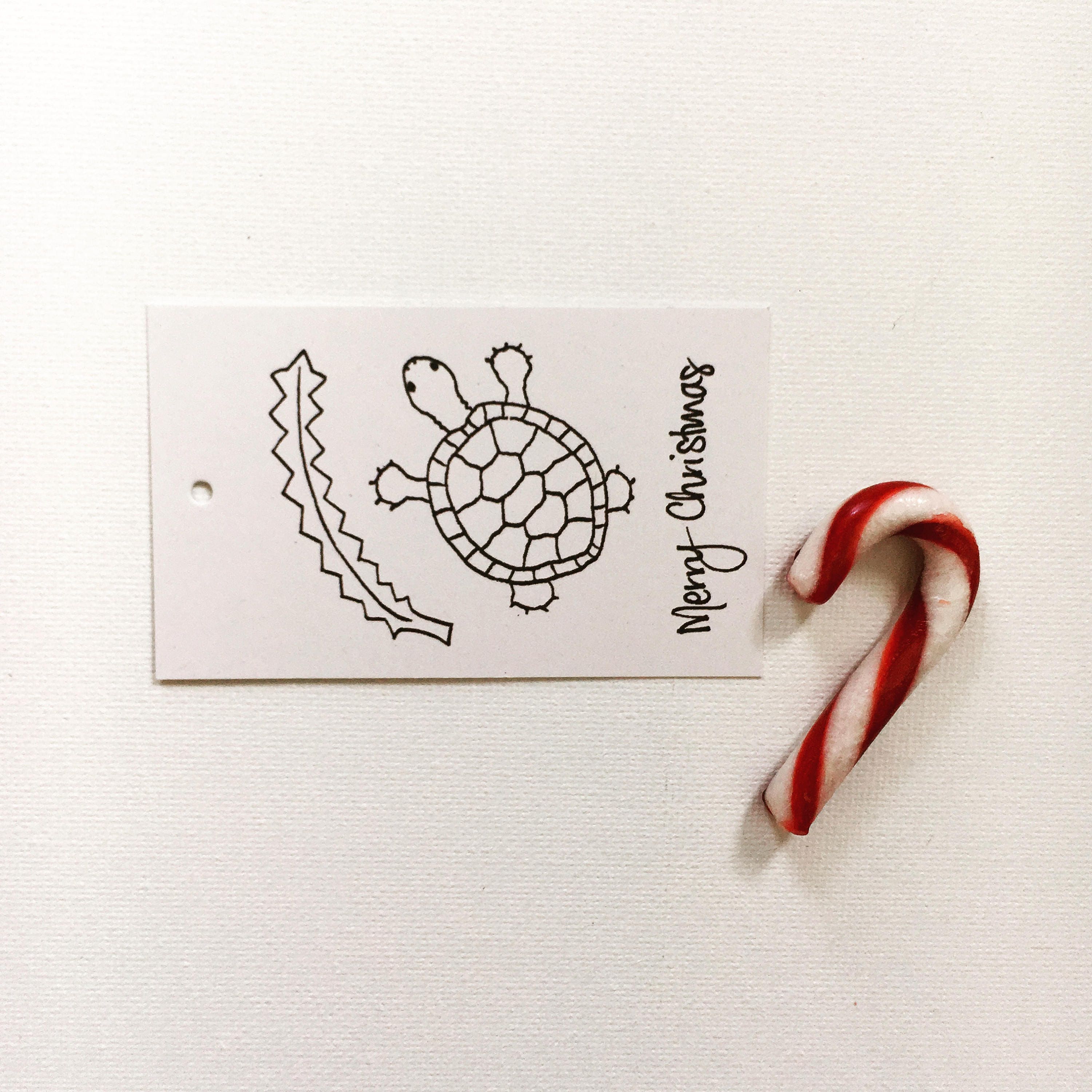 Tortoise Shell Tag Western Swamp Tortoise - Australian Christmas Gift Tag, Australia Bush ...