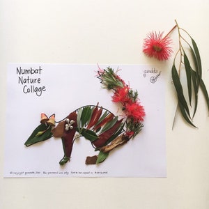 Peut inclure: Un collage de nature représentant un numbat, un marsupial australien, réalisé avec des feuilles et des fleurs. Le titre "Numbat Nature Collage" est écrit en haut de la page. La signature de l'artiste "gumdots" est dans le coin supérieur droit.