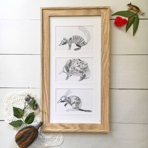 May include: A framed print with three black and white illustrations of Australian animals. The animals are a bandicoot, an echidna, and a bilby. The illustrations are detailed and intricate, with each animal's body made up of various plants and flowers.