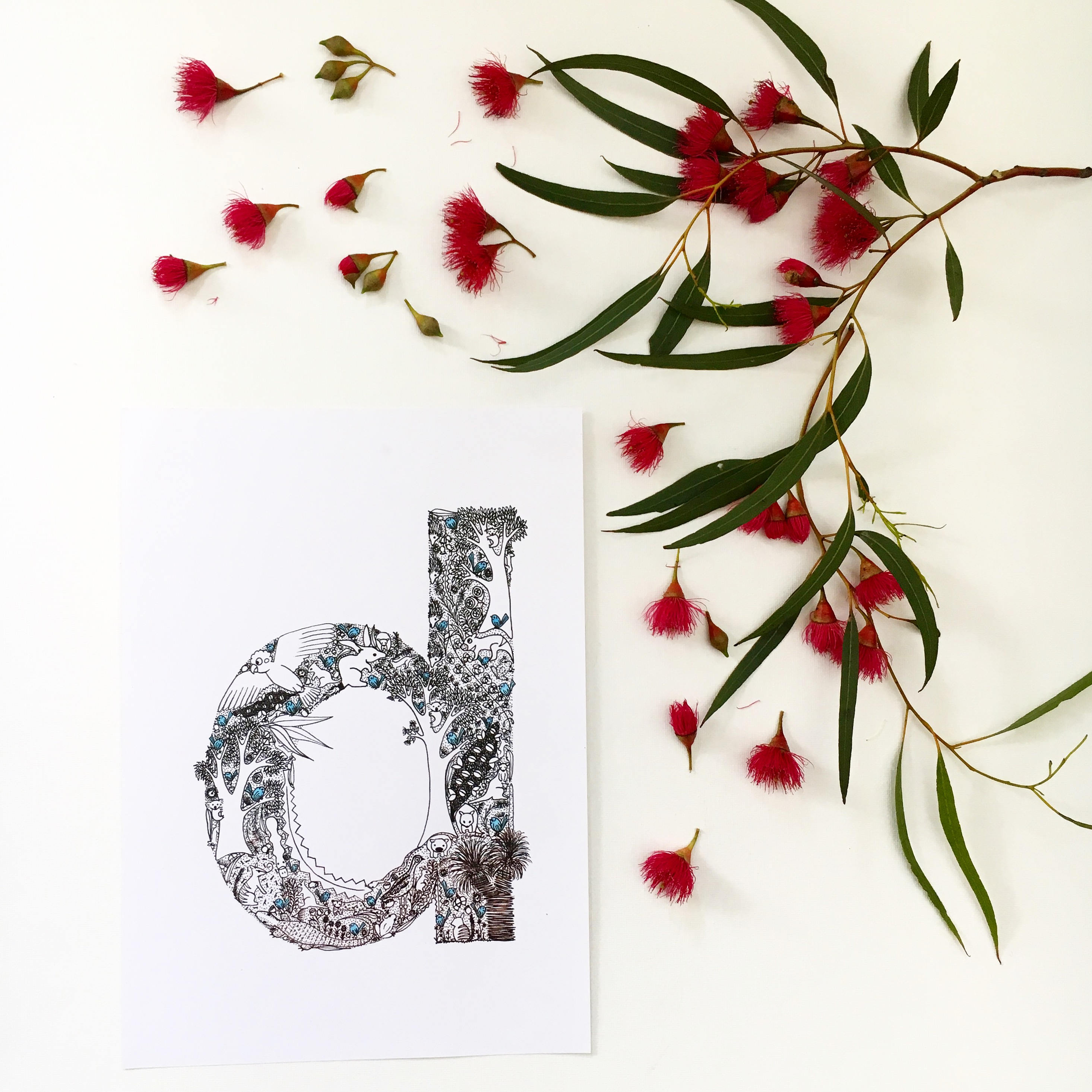 Illustrated Letter 'aussie Bush' Unique Illustration Etsy Australia