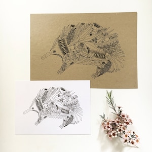 May include: A black and white line drawing of an echidna, a native Australian animal, made up of various Australian flora. The echidna is facing left and is surrounded by leaves, flowers, and other plant life.