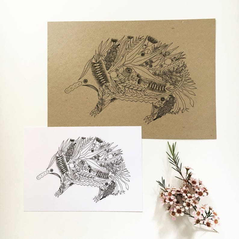 May include: A black and white line drawing of an echidna, a native Australian animal, made up of various Australian flora. The echidna is facing left and is surrounded by leaves, flowers, and other plant life.