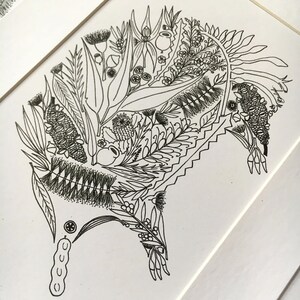 May include: A black and white line drawing of a stylized echidna, a native Australian animal, made up of various native Australian flora. The echidna is depicted with a long snout, spiky back, and a pouch on its belly. The flora includes gum leaves, wattle, and banksia.