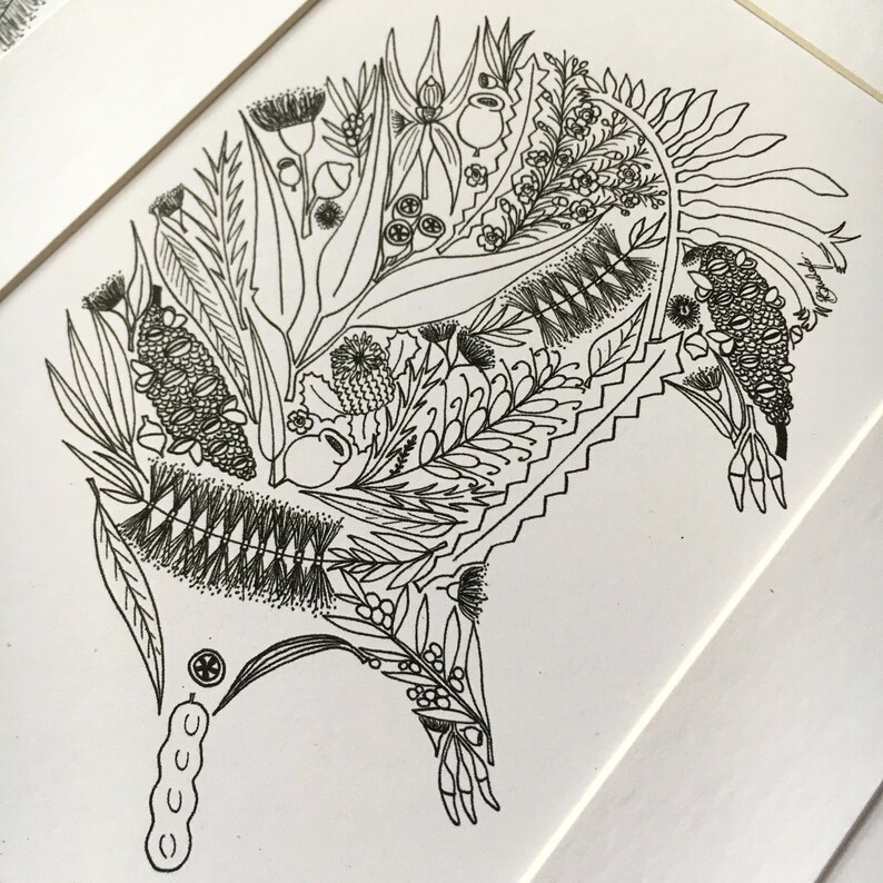 May include: A black and white line drawing of a stylized echidna, a native Australian animal, made up of various native Australian flora. The echidna is depicted with a long snout, spiky back, and a pouch on its belly. The flora includes gum leaves, wattle, and banksia.