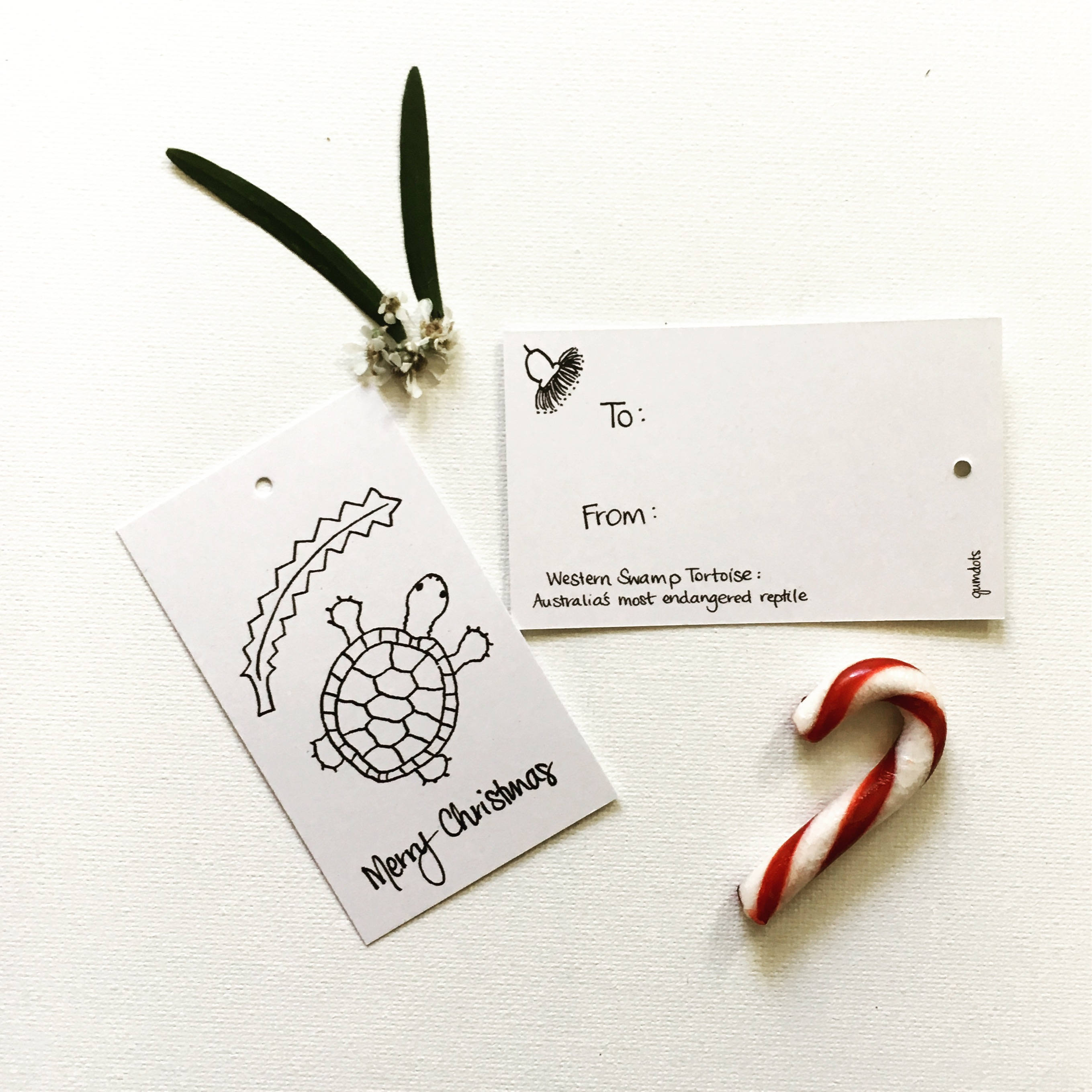 Tortoise Shell Tag Western Swamp Tortoise - Australian Christmas Gift Tag, Australia Bush ...