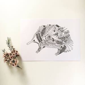 May include: A black and white line drawing of an echidna, a spiny anteater native to Australia and New Guinea. The echidna is depicted with a detailed design of various native Australian plants and flowers.