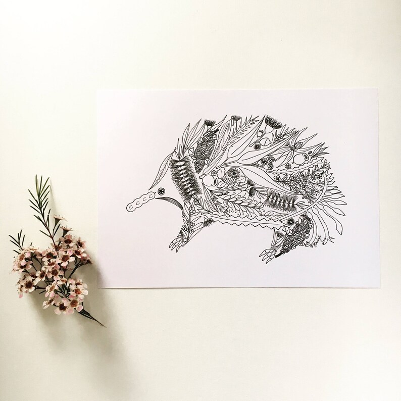 May include: A black and white line drawing of an echidna, a spiny anteater native to Australia and New Guinea. The echidna is depicted with a detailed design of various native Australian plants and flowers.