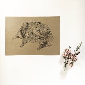 May include: A black and white line drawing of an echidna, a spiny anteater native to Australia and New Guinea, on a brown paper background.